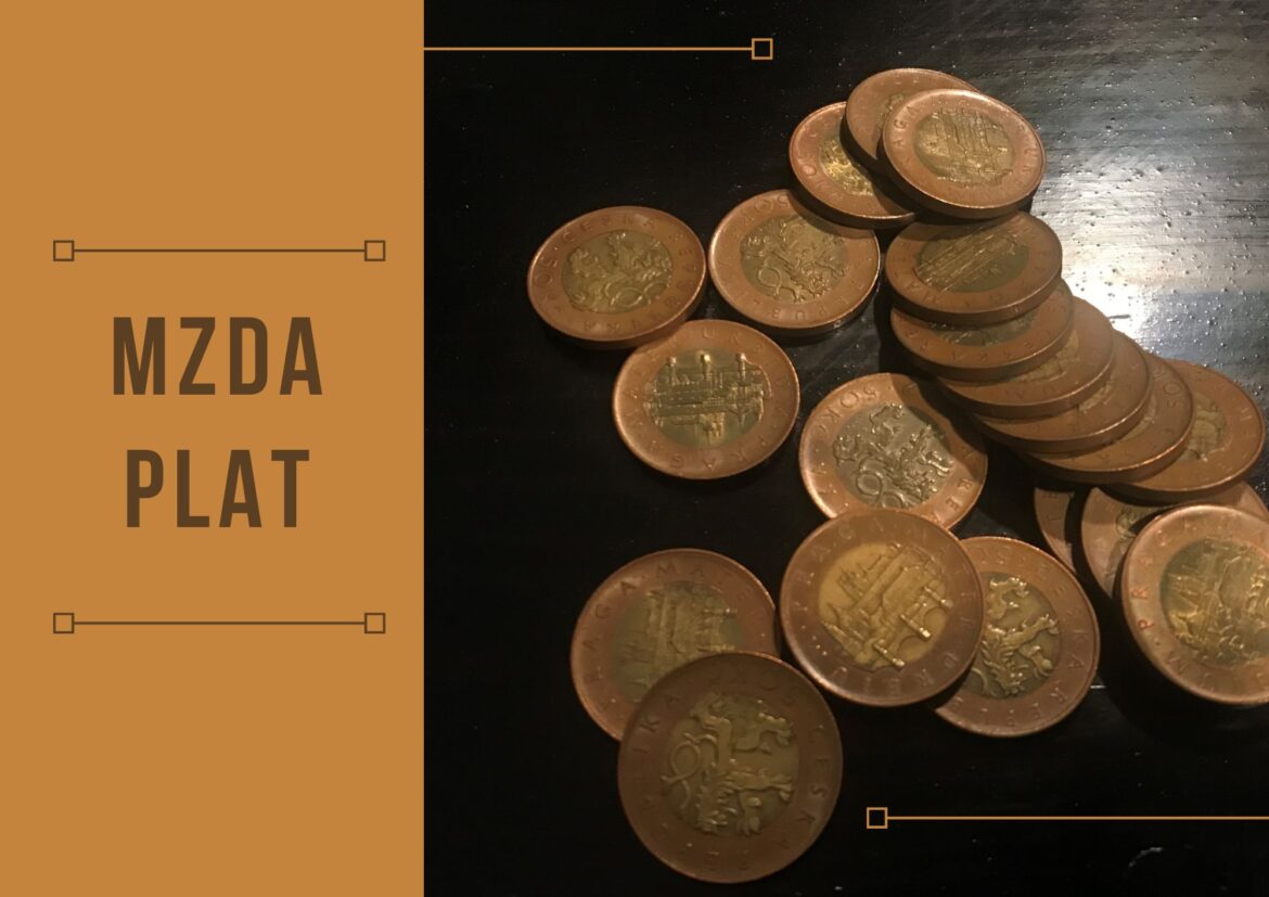 Mzda a plat – základní rozdíl