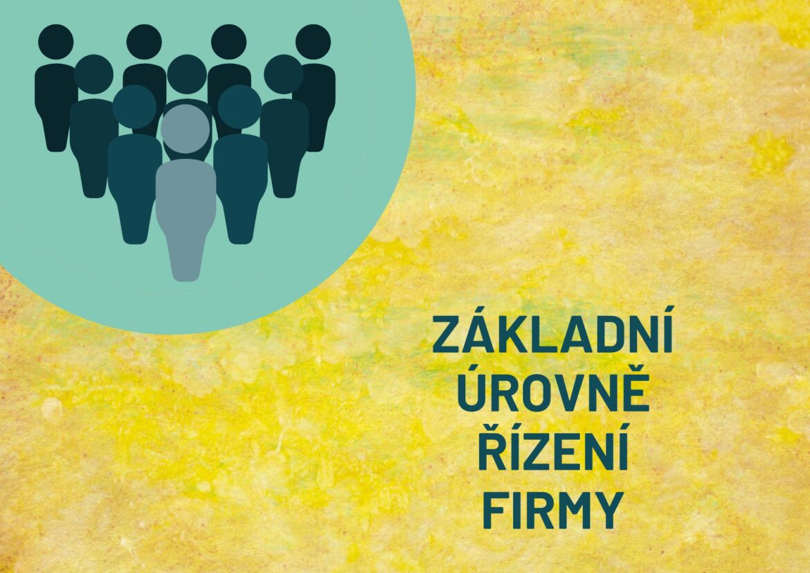 Jaké jsou základní úrovně řízení firmy?