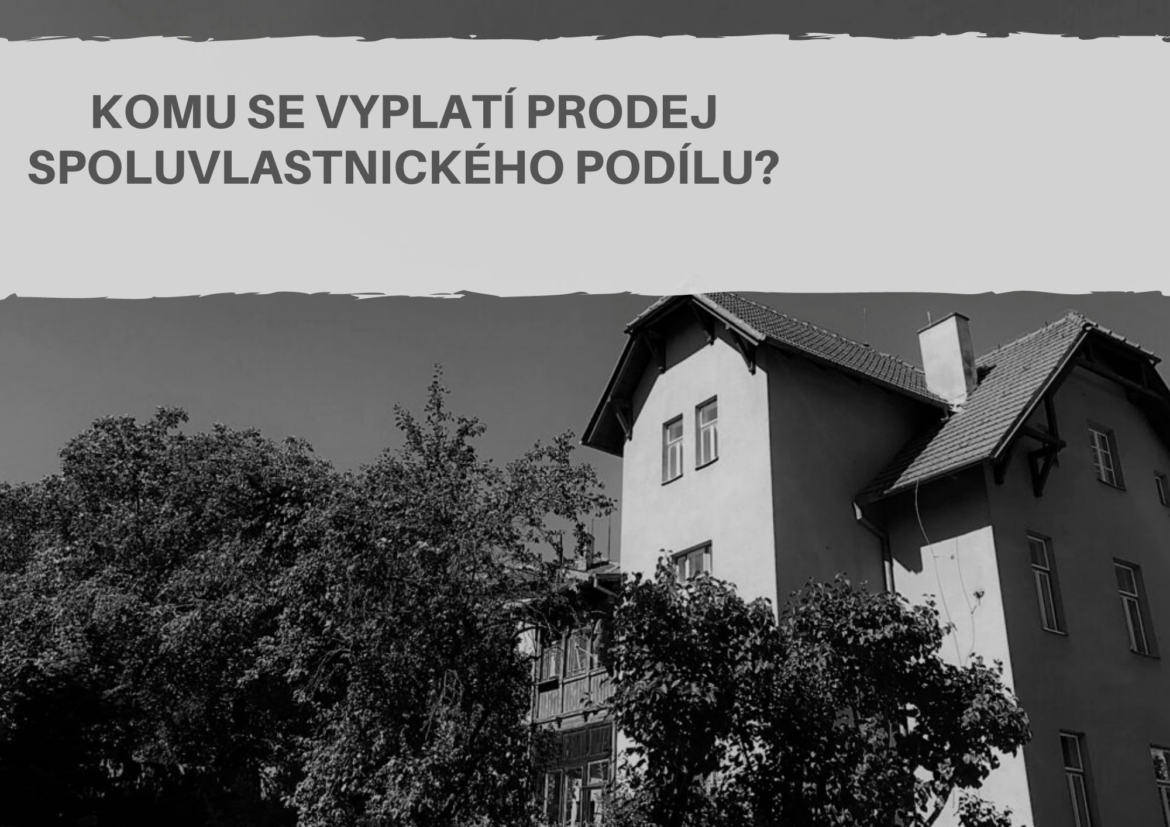 Prodej nebo dražba spoluvlastnického podílu