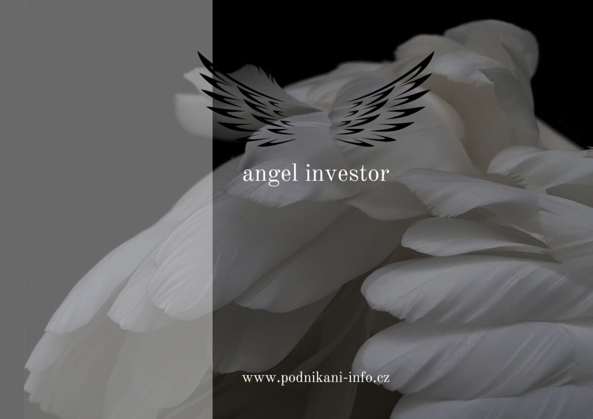 Setkali jste se už s pojmem „andělský investor“?